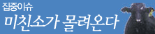 집중이슈 - 미친소가 몰려온다