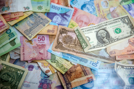 달러는 기축통화이지, 유일한 기축통화는 아니다